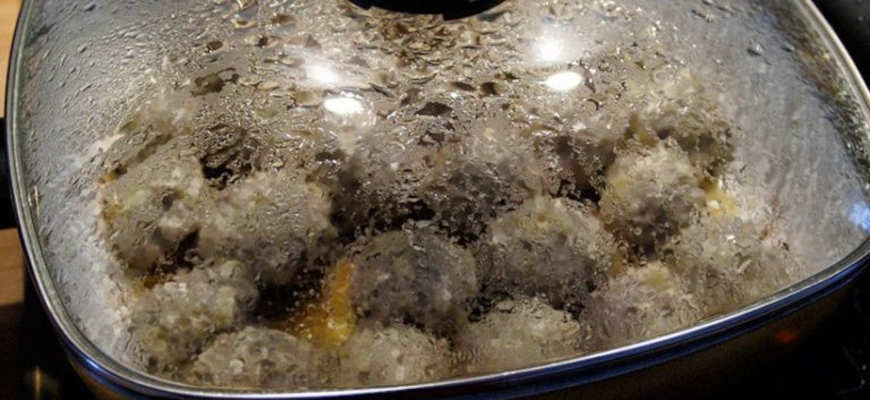 Рыбные галки