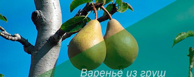 Варенье из домашней груши